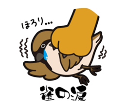 Proverb of the cat sticker #4521068