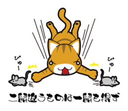 Proverb of the cat sticker #4521069