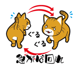 Proverb of the cat sticker #4521070