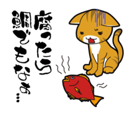 Proverb of the cat sticker #4521073