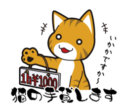 Proverb of the cat sticker #4521076