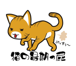 Proverb of the cat sticker #4521078