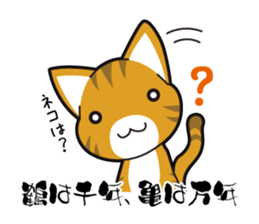 Proverb of the cat sticker #4521082