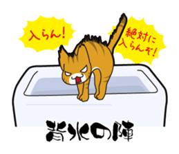 Proverb of the cat sticker #4521083