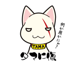 Proverb of the cat sticker #4521084