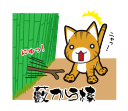 Proverb of the cat sticker #4521086