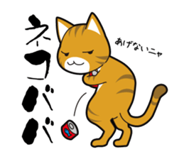 Proverb of the cat sticker #4521089