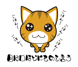 Proverb of the cat sticker #4521090