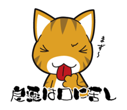 Proverb of the cat sticker #4521092