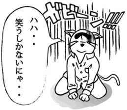 Go for it, it is a cat teacher sticker #4524249