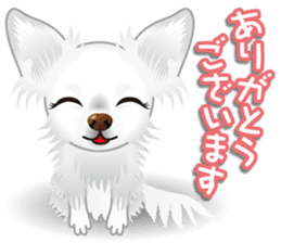 Every day of Chihuahua sticker #4528097