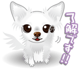 Every day of Chihuahua sticker #4528099