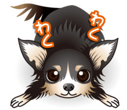 Every day of Chihuahua sticker #4528102
