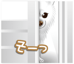 Every day of Chihuahua sticker #4528103