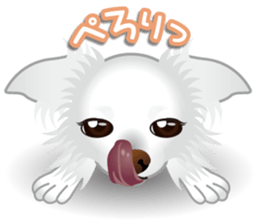 Every day of Chihuahua sticker #4528104