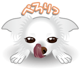 Every day of Chihuahua sticker #4528104