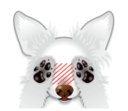 Every day of Chihuahua sticker #4528114