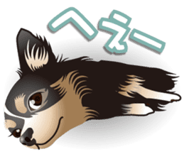 Every day of Chihuahua sticker #4528120