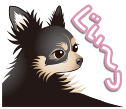 Every day of Chihuahua sticker #4528122