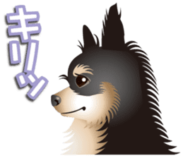 Every day of Chihuahua sticker #4528124