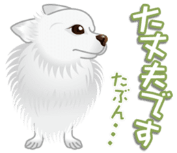 Every day of Chihuahua sticker #4528127