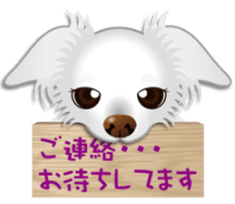 Every day of Chihuahua sticker #4528131