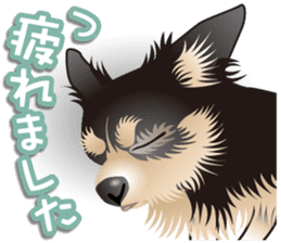 Every day of Chihuahua sticker #4528132