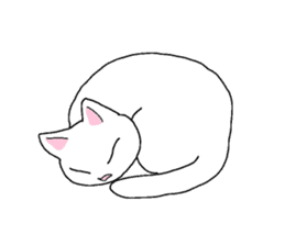 White Kitten Sticker sticker #4529758