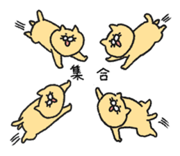 Whim sticker of nojako sticker #4529961