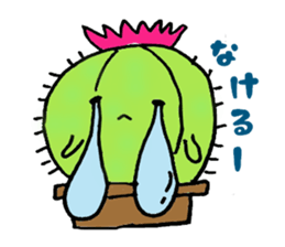 Cactus Life sticker #4531121