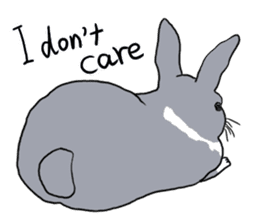 My mini rabbit sticker #4531902