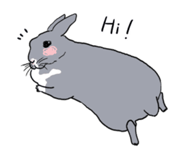 My mini rabbit sticker #4531909
