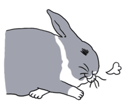 My mini rabbit sticker #4531913
