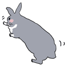 My mini rabbit sticker #4531916