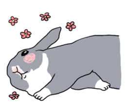 My mini rabbit sticker #4531926