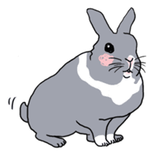 My mini rabbit sticker #4531927