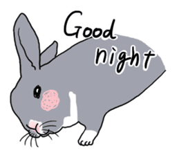 My mini rabbit sticker #4531934