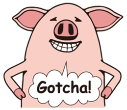 Mr.Boo the pig sticker #4532996