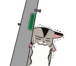 Flying squirrels healing sticker #4533109