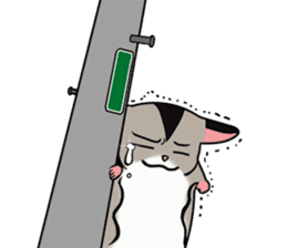 Flying squirrels healing sticker #4533109