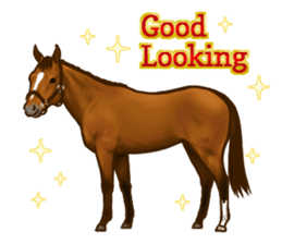 Horses Sticker + sticker #4534996