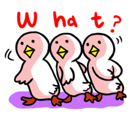 SHIRATORI duck(4.5) sticker #4536943