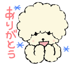 The toy poodle which is Afro sticker #4541467