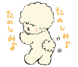 The toy poodle which is Afro sticker #4541469