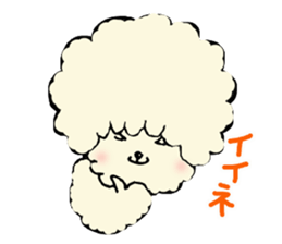 The toy poodle which is Afro sticker #4541471