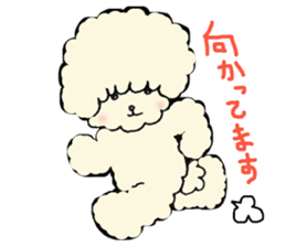 The toy poodle which is Afro sticker #4541483