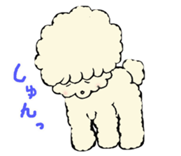 The toy poodle which is Afro sticker #4541497