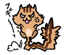 pretty squirrel sticker sticker #4546649