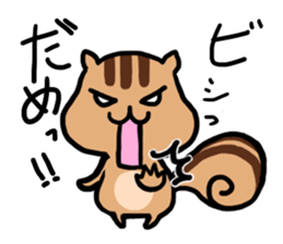 pretty squirrel sticker sticker #4546650