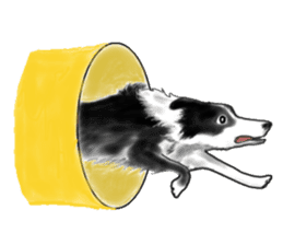Mr.Very! Disc&agility competitions sticker #4546825